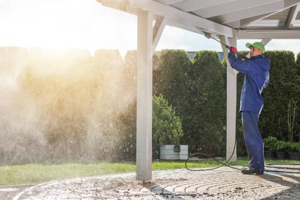 Best Pre-Holiday Cleaning  in Ross, OH